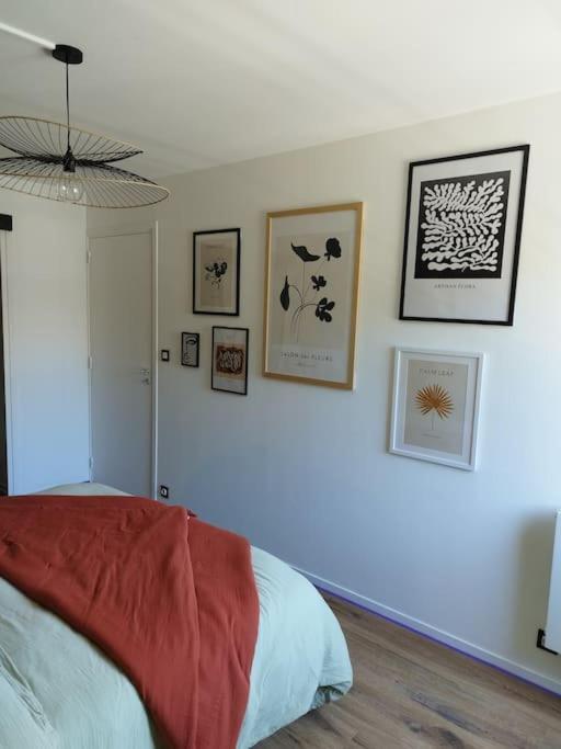 Appartement Au Coeur De Paimpol Kültér fotó